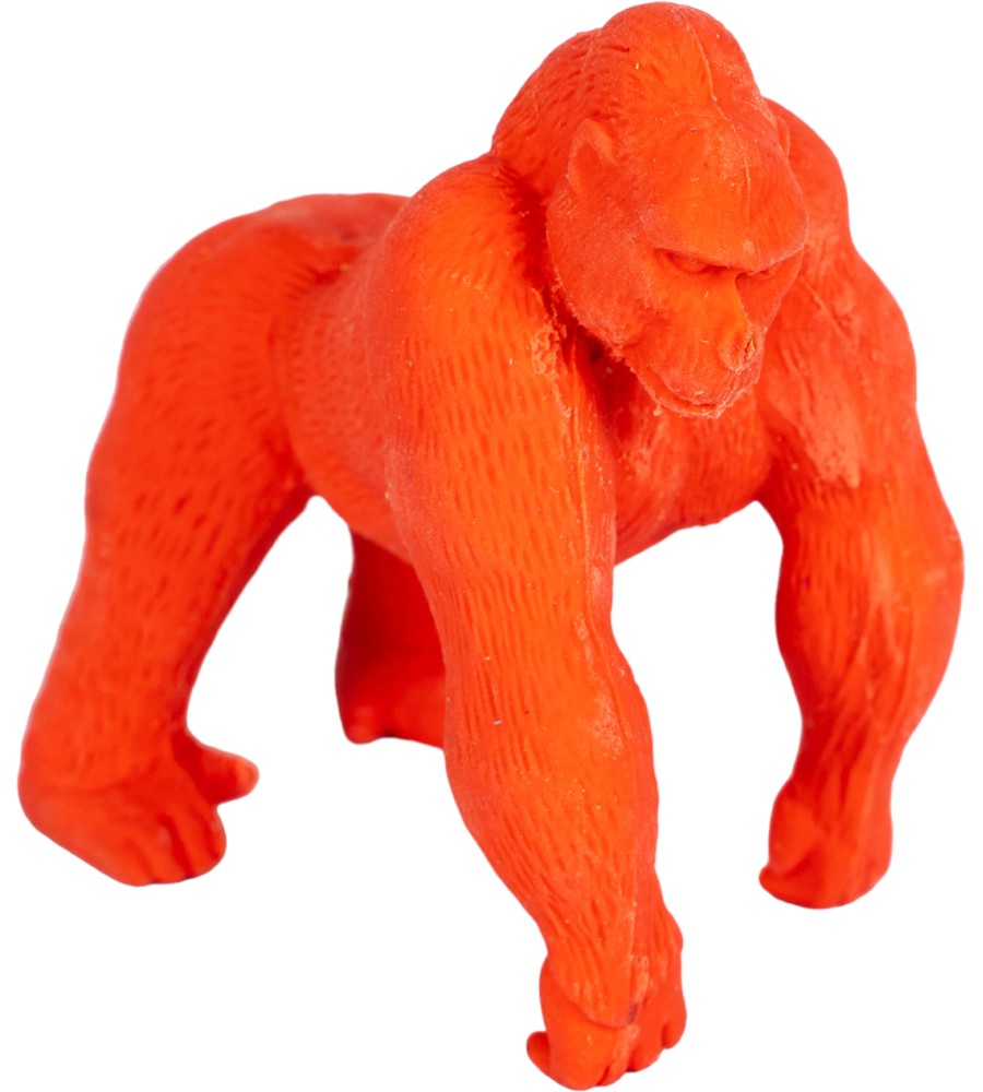 ���� �� ����� Apli Kids Jungle - 