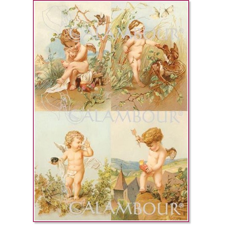   Calambour -  - 33 x 48 cm - 