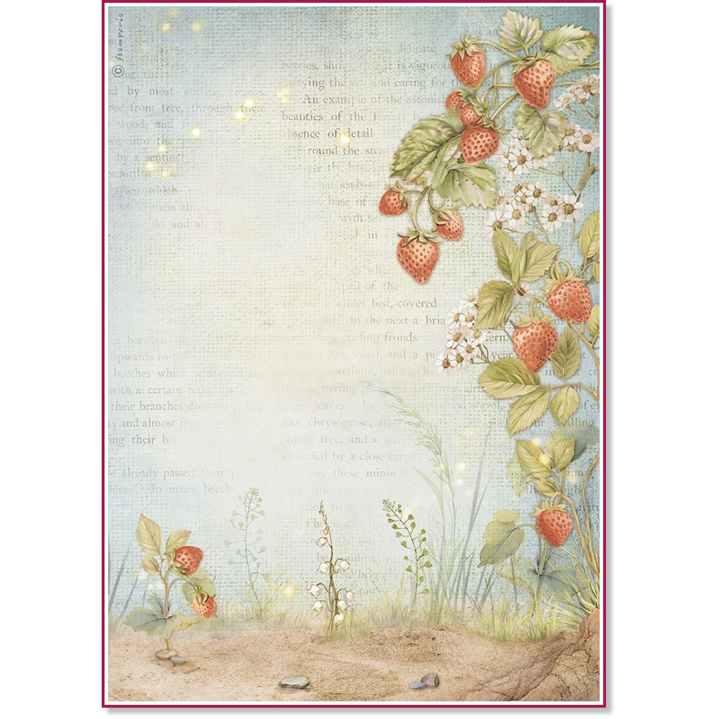 ��������� ������ Stamperia - ����� - A4 �� ���������� Hidden Grove - 