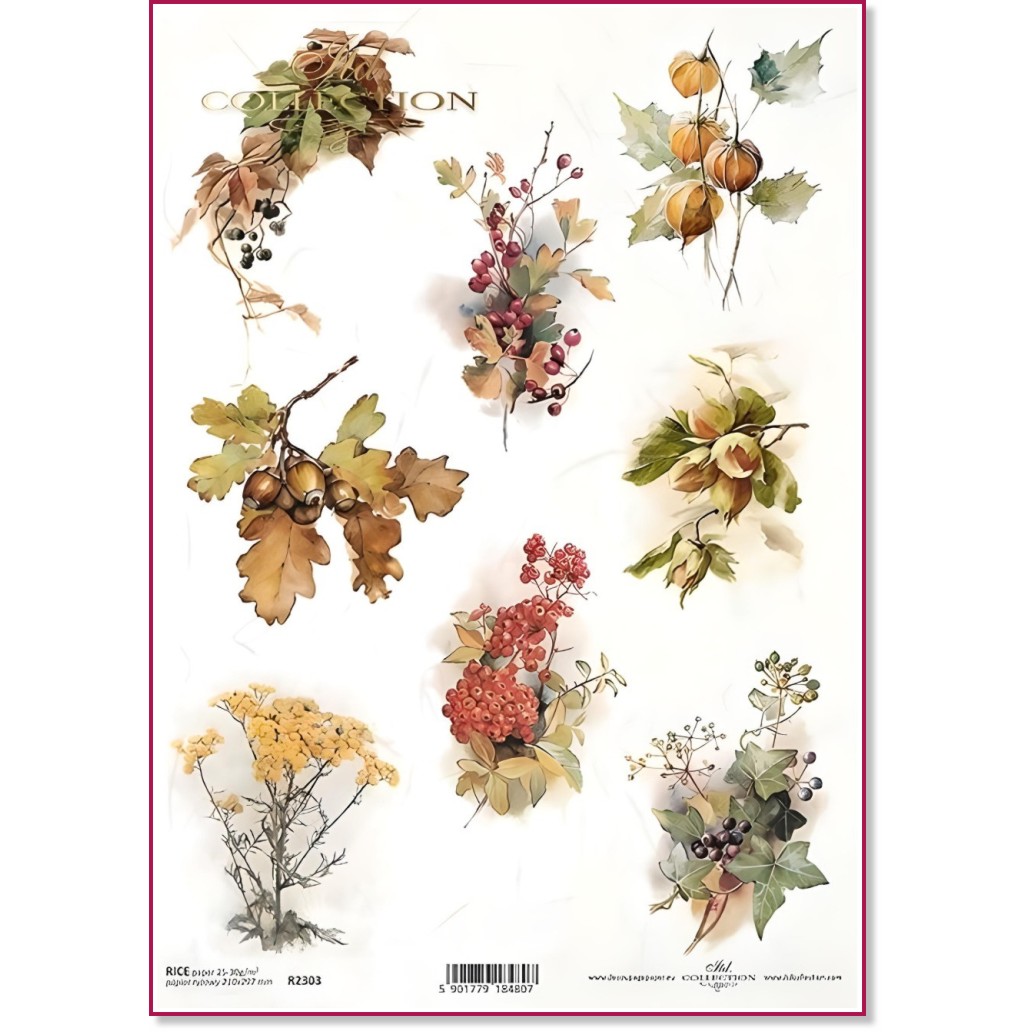   ITD Collection -  - A4 - 