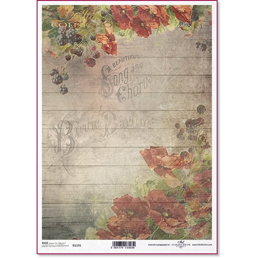   ITD Collection -  - A4 - 