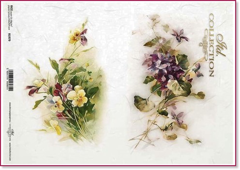   ITD Collection -  - A4 - 