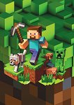 �������� � ������ ������ Minecraft - 