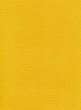 ���� ���� - 20 x 30 cm - 