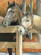 �������� �� ������ Royal & Langnickel - ���� - 22 x 30 cm � ������ ������ - 