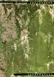 ���������� �����������. ������������� - 