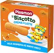     Plasmon - 