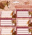 ������� �� �������� - My Sweet Horse - 