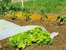 ��������� ������ ����� Nortene Climatic