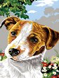 �������� �� ������ NEWART - ����