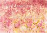 ��������� ������ Calambour - ������ � ����� ��������� 25 - �� ������� Digital Collection Mulberry - 