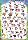 ������ �����: ������ � �������� - 