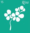   Rosa -  - 9 x 10 cm - 