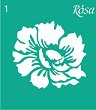   Rosa -  - 9 x 10 cm - 