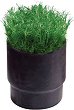 ����� �� ����������� Rain Bird Sod Cup