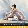 ������� �� ������� Baohong Michael Solovyev - 