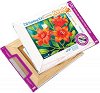       EasyArt -  - 
