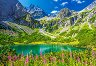 ������ �����, �����, �������� - 