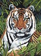    Royal & Langnickel -  - 22 x 30 cm - 