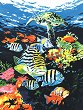   Royal & Langnickel -   - 23 x 30 cm - 
