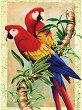    Royal & Langnickel -  - 22 x 30 cm - 