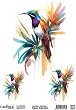 ���������� ��������� CADENCE - �������