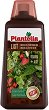 ����� ��� �� ������ �������� Plantella
