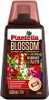 ����� ��� �� ������� �������� Plantella