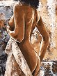 �������� �� ������ NEWART - ���� ������ ����
