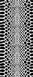  Cadence -  