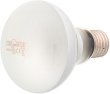 ������ ������ �� �������� REPTI PLANET Daylight Frosted - 