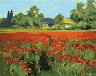 �������� �� ������ Newart - ���� � ������
