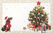 ���� �� ������� ������� ��� ������ - ������� ���� - 