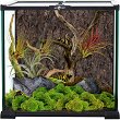 �������� REPTI PLANET Mini Glass Reptite Habitat - 