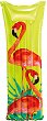   Intex -  - 