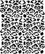  CADENCE -  