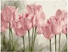 �������� �� ������ Foska - ������ - 50 x 40 cm - 
