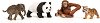 ������� �� ���� ���� ������� �� ���� - Schleich - 