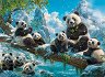 ����� ���������� � ����� - 