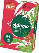    A4 Rey Adagio - 