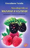 ������������ �� ������ � ������ - 