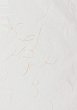    Kozo Heyda -  