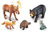 ������ ������� - Learning Resources - 
