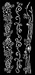 ������ Stamperia - �������� ����� - 12 x 25 cm �� ���������� Hidden Grove - 