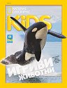 National Geographic Kids - 