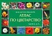 ����� �� ���������� - ���� 2 � 3 - 