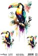 ���������� ��������� CADENCE - �����