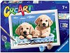      - Ravensburger - 