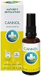 Annabis Cannol Organic Oil - 