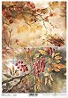   ITD Collection -  - A4 - 